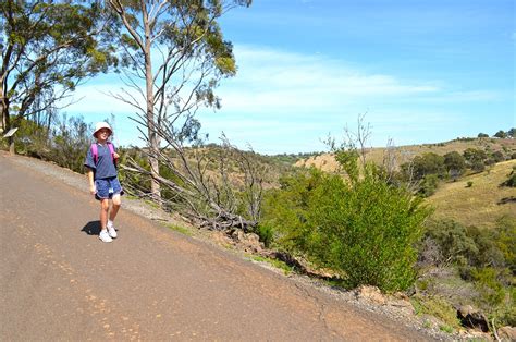 Organ Pipes National Park: Hiking, picnicking, wildlife & geology at ...