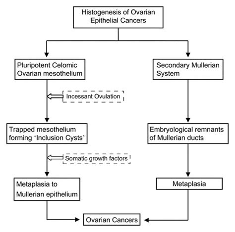 Copd Stages Symptoms