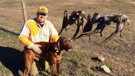 South Dakota Pheasant Hunting Day 1 2016 - YouTube