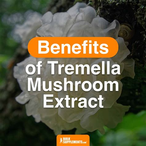 Tremella Mushroom Extract. Improve Your Overall Health