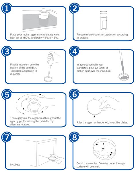 11 Pour Plate Method Best Practices – Microbiologics Blog