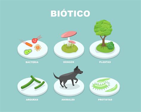 Factores bióticos y abióticos | Flashcards