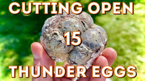 15 THUNDER EGGS cut open w/ lapidary saw! | Let's fire up our 10" lapidary saw and cut open 15 ...