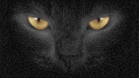 2048x1152 Cat Abstract Art Background 2048x1152 Resolution HD 4k Wallpapers, Images, Backgrounds ...