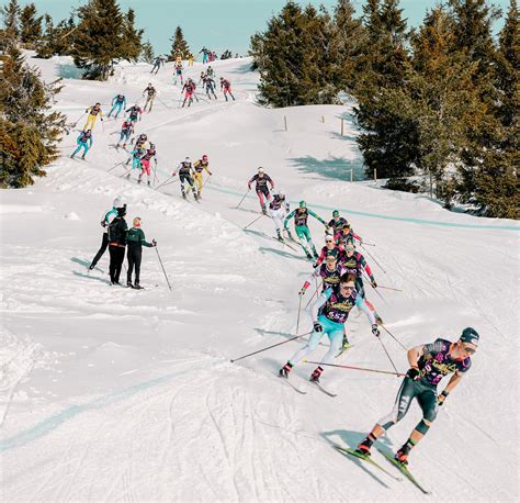 Choosing the Ideal Ski Poles: A Comprehensive Guide