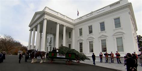 2023 White House Christmas Tree From Ashe County Arrived On Monday - WataugaOnline.com