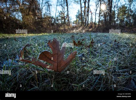 First Frost Stock Photo - Alamy