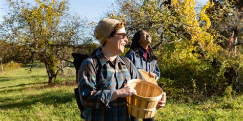 Michigan Bucket List: Apple Orchards to Explore This Fall