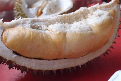 How To Pick The Perfect Durian And Make The Most Out Of The Durian Season