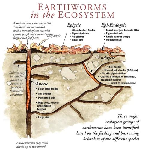 Earthworm Habitat Map