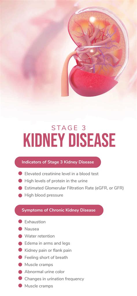 Can Stage 3 Kidney Disease Be Reversed? | Fatty Liver Disease