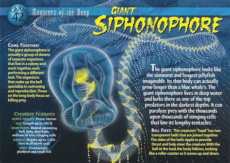 Image - Giant Siphonophore front.jpg | Wierd N'wild Creatures Wiki | Fandom powered by Wikia