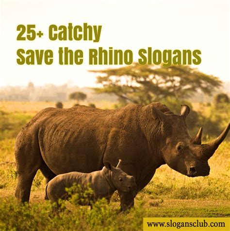 25+ Catchy Save the Rhino Slogans