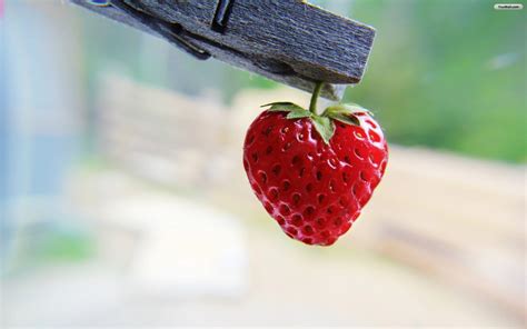 Strawberry Wallpaper Desktop - Strawberry Wallpapers - Wallpaper Cave ...