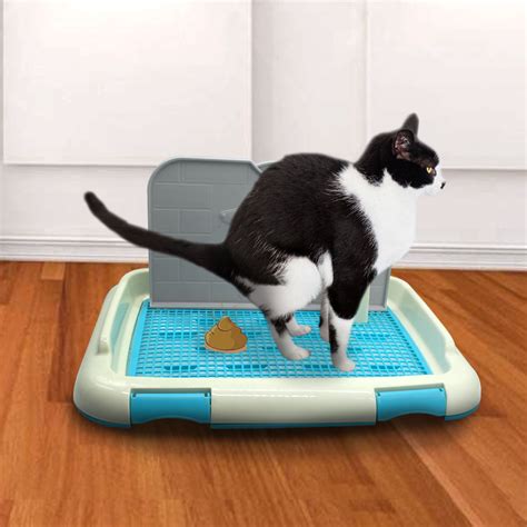 Dog Indoor Toilet Puppy Training Pads Pet Potty for Small Dogs Cat Pee Pad Tray | eBay