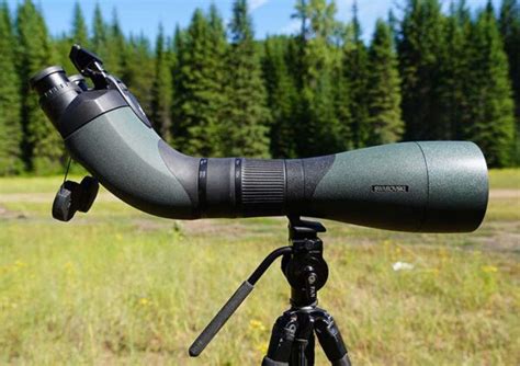 7 Best Budget Spotting Scopes for Hunting - Binocularsradar