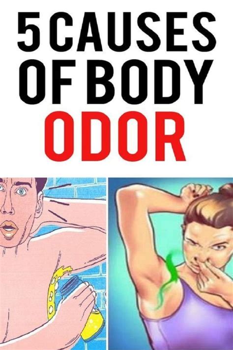 5 Causes of Body Odor | Body odor, Body odor remedies, Odor remedies