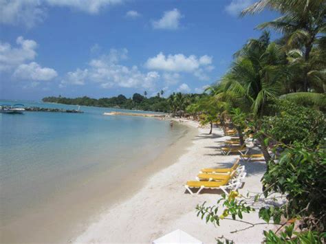 Coco Reef beach in Tobago. The only all inclusive in Tobago. | Travel photography, Beach, Tobago