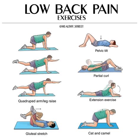 Healthy Street - 🔈 LOW BACK PAIN EXERCISES Exercises that... | Facebook