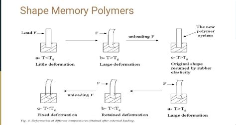 Solved Shape Memory Polymers | Chegg.com