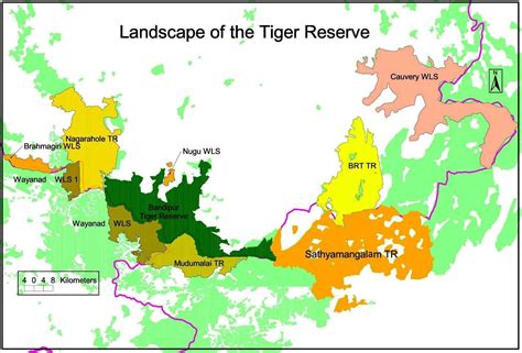 Joint Effort to Conserve Wildlife at Bandipur - Drishti IAS