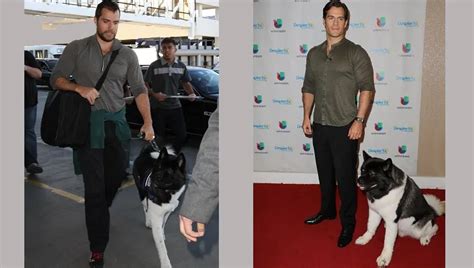 Celeb Pets: Henry Cavill Does Press With His Beloved American Akita, Kal, By His Side - DogTime