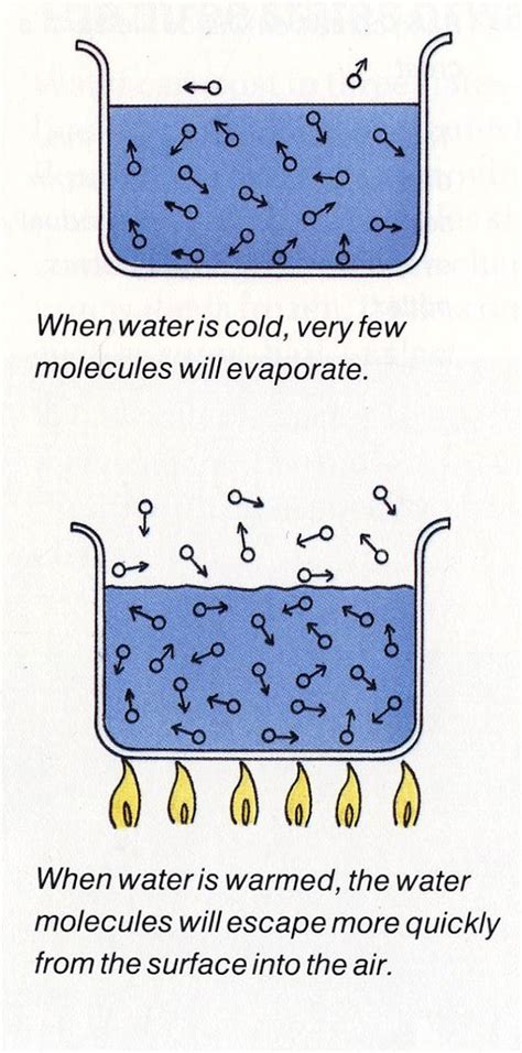 Water Evaporation and Condensation