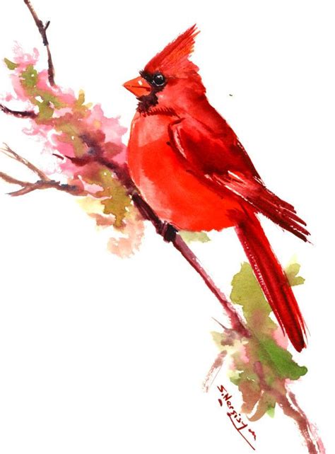 Cardinal Bird, art, painting, original watercolor, bird art, bird ...