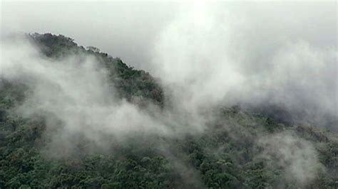 Fog | Definition, Formation, Types, & Facts | Britannica