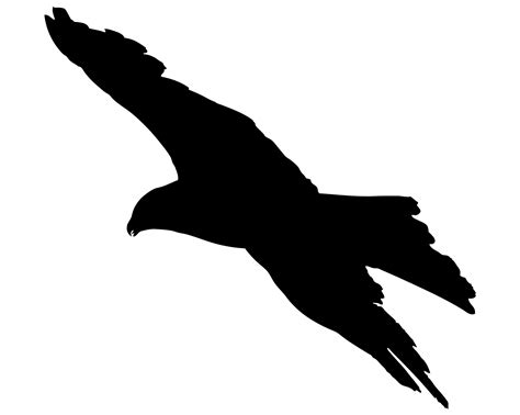 Bird,flying,silhouette,bird prey,eagle - free image from needpix.com