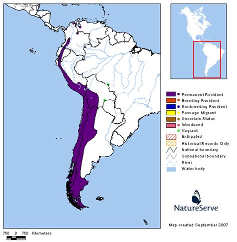 Americas Range Map - Andean Condor | BirdPhotos.com