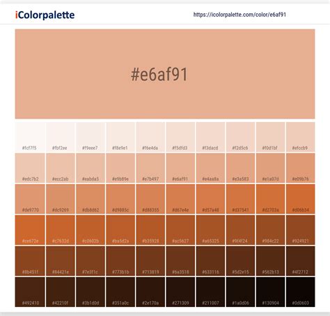 Pantone 14-1220 Tcx Peach Nougat Color | Hex color Code #E6AF91 information | Hsl | Rgb | Pantone