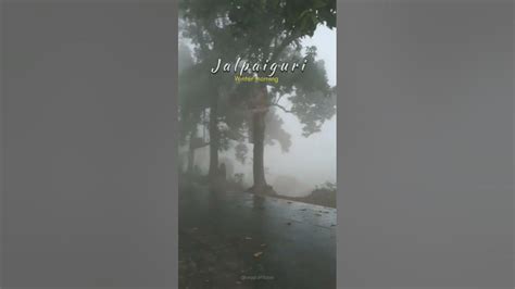 Jalpaiguri Weather,,, Winter ☃️ ️ ️😎 - YouTube