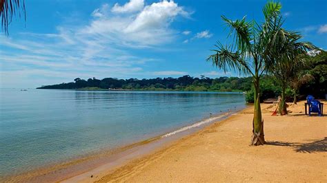 Entebbe: Top Things to do - The Great Trekkers Safaris