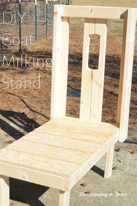 DIY Goat Milking Stand