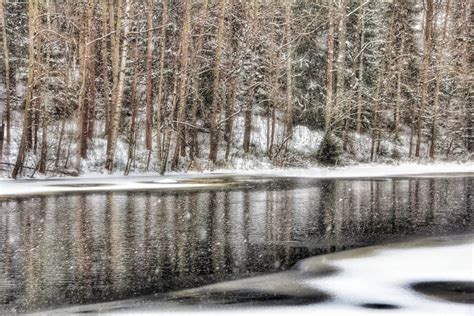 River Trees Winter Landscape Outdoors Nature Snowfall Stock Photo - Image of trees, nature ...