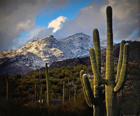 Snow On The Catalina Mountains Photograph by Jon Van Gilder | Fine Art ...