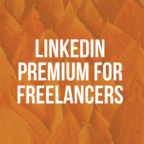 A month of LinkedIn Premium: the results - Training for Translators