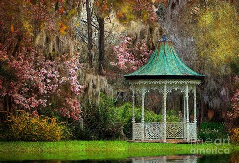 Spring Magnolia Garden At Magnolia Plantation Photograph by Kathy Baccari | Fine Art America