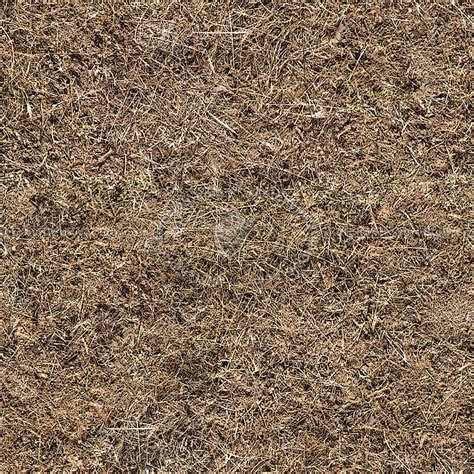 Dry grass texture seamless 12919