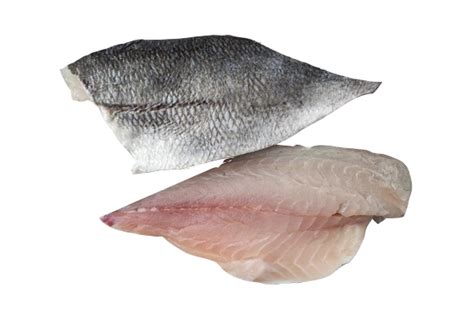 Sea Bream Fillet | Seafood supplier in UAE | Fish Fillets