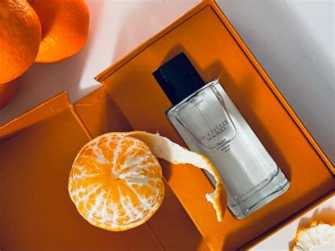 Gracefully Madrid Zara perfume - a fragrance for women and men 2021