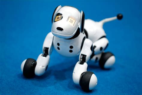 Thousands of High-Tech Gadgets on Display at Tokyo Toy Show | Time