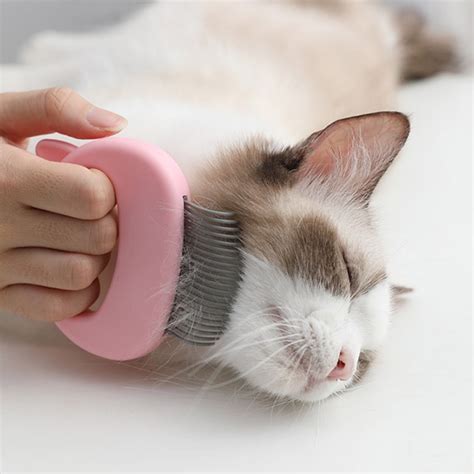 Massage & Hair Removal Cat Comb