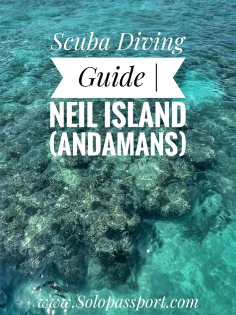 The Ultimate Guide to Scuba Diving in Neil Island (2024)