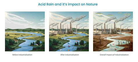 Acid rain damages ecosystems, aquatic life, and infrastructure by ...