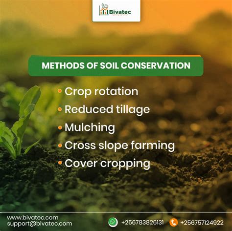 Healthy Soil, Healthy Crops: Best Practices for Soil Conservation