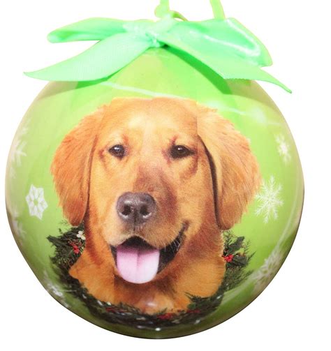 10 Best Christmas Gifts For Pets