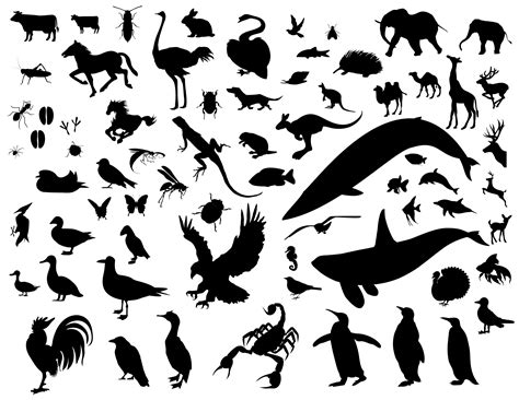 Animal Silhouette Vector Pack Download Vector | Animal silhouette ...