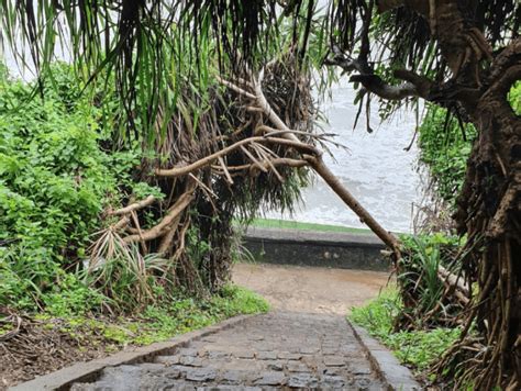 Vinh Moc Tunnels In Quang Tri, Vietnam - Culture Pham Travel